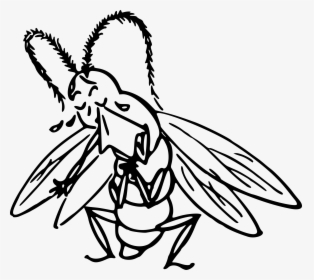 Crying Insect Svg Free - Cricket Insects Crying Drawing, HD Png Download, Transparent PNG