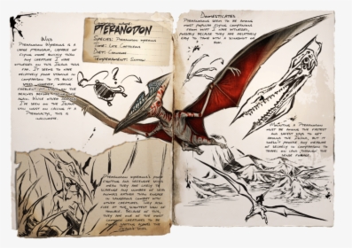 Ark Survival Evolved Pteranodon, HD Png Download, Transparent PNG