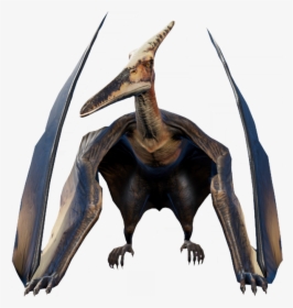   - Jurassic World Evolution Pteranodon, HD Png Download, Transparent PNG