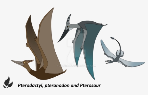 Download Pterosaurs Background Png For Designing Work - Pterodactyl And Pteranodon Difference, Transparent Png, Transparent PNG