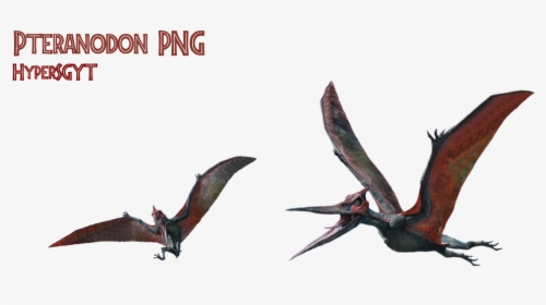 #dinosaurs #jurassicworld #freetoedit - Transparent Pteranodon Png, Png Download, Transparent PNG