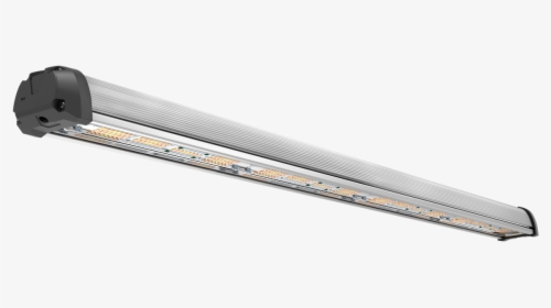 Ceiling, HD Png Download, Transparent PNG
