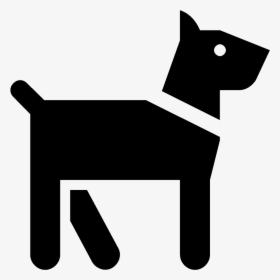 Paw Icon Windows, HD Png Download, Transparent PNG