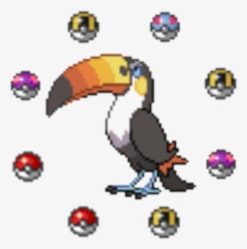Pokémon Wiki - Rainbow Bird Pokemon, HD Png Download, Transparent PNG