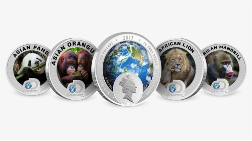Discovery Channel Discovery Channel Silver Coins - Discovery Channel, HD Png Download, Transparent PNG