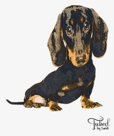 Dachshund, HD Png Download, Transparent PNG