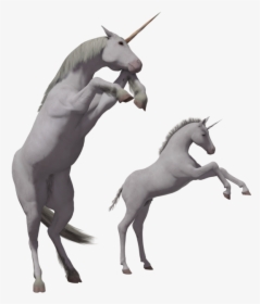Download This High Resolution Unicorn Icon Png - Unicorn, Transparent Png, Transparent PNG