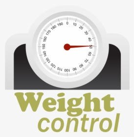 Subscribe To E Picks Newsletter - Weight Control, HD Png Download, Transparent PNG