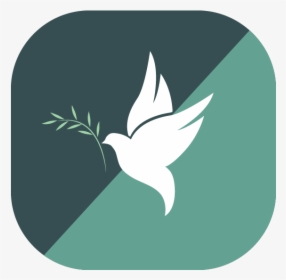 A Dove With An Olive Branch Signifying Healing Of Devops - Illustration, HD Png Download, Transparent PNG