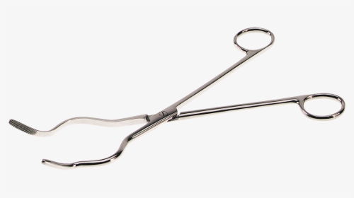 Stainless Steel Tongs - Tool, HD Png Download, Transparent PNG