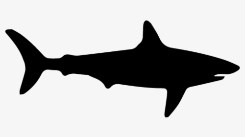 Shark Silhouette, HD Png Download, Transparent PNG