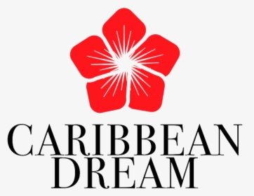 Punta Cana Tours - Caribbean Dream Punta Cana, HD Png Download, Transparent PNG