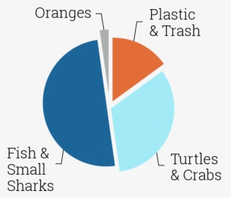 Updated Graph - Tiger Sharks Eating Trash, HD Png Download, Transparent PNG