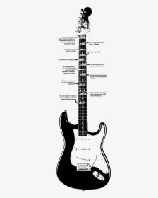 The History Of Imp - Fender Stratocaster 67 Black, HD Png Download, Transparent PNG