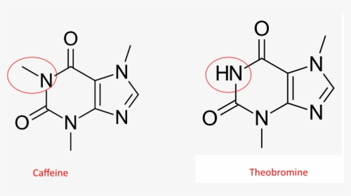 Caffeine Molecule, HD Png Download, Transparent PNG