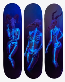 Death Of Venus Under Blacklight , Png Download - Skateboard Deck, Transparent Png, Transparent PNG