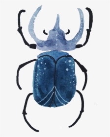 With Both Watercolors And Gouache - Dung Beetle, HD Png Download, Transparent PNG