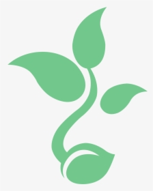 Graphic Design, HD Png Download, Transparent PNG