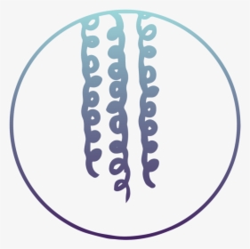 Circle, HD Png Download, Transparent PNG