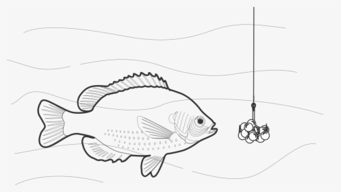 Art,monochrome Photography,fish - Bait Cartoon Drawing, HD Png Download, Transparent PNG