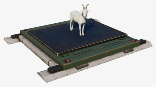   - Goat, HD Png Download, Transparent PNG