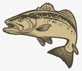 Bass, HD Png Download, Transparent PNG