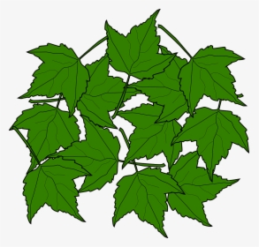 Maple Leaves Svg Clip Arts - Portable Network Graphics, HD Png Download, Transparent PNG