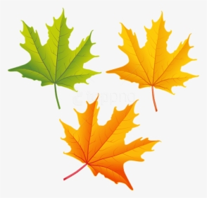 Fall Leaves Clipart High Resolution - Fall Leaves Free Clip Art, HD Png Download, Transparent PNG