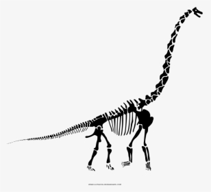 Diplodocus Skeleton Coloring Page - Brachiosaurus, HD Png Download, Transparent PNG