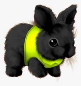 Domestic Rabbit, HD Png Download, Transparent PNG