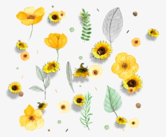 Transparent Sunflower Frame Png - Yellow Flowers Watercolor Png, Png Download, Transparent PNG
