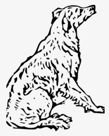 Golden Retriever Coloring Pages, HD Png Download, Transparent PNG