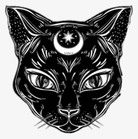 #witch #witchcraft #wicca #wiccan #witches #png #sticker - Black Cat Face Drawing, Transparent Png, Transparent PNG