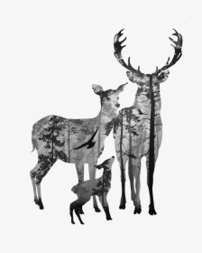Deer Canvas Antler Clip Art - Black And White Deer Head Drawing, HD Png Download, Transparent PNG