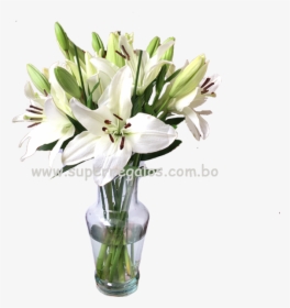 Bouquet, HD Png Download, Transparent PNG