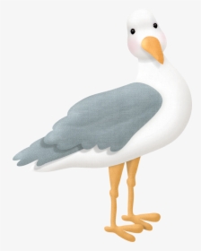 Transparent Seagulls Clipart - Dibujos De Gaviotas, HD Png Download, Transparent PNG