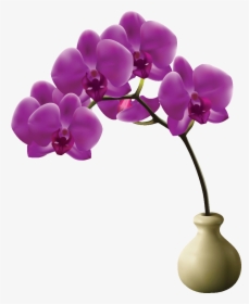 Orchidée En Png, Transparent Png, Transparent PNG