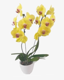 Artificial Flower, HD Png Download, Transparent PNG