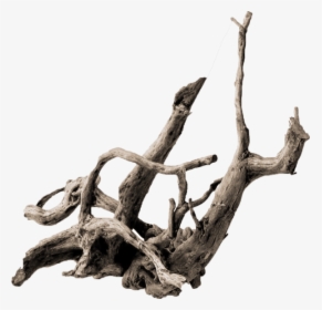 Thumb Image - Driftwood Png, Transparent Png, Transparent PNG