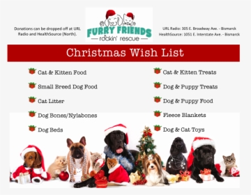 Christmas Wish List - Dogs And Cats Christmas, HD Png Download, Transparent PNG