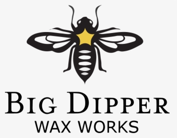 Big Dipper Wax Works Logo - Net-winged Insects, HD Png Download, Transparent PNG