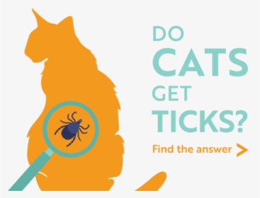 Do Cats Get Ticks Find The Answer - Cartoon, HD Png Download, Transparent PNG