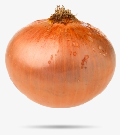 Cebolla-bocaabajo - Yellow Onion, HD Png Download, Transparent PNG