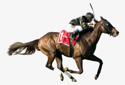 Race Horse Cutouts Png, Transparent Png, Transparent PNG