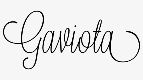 Gaviota - Calligraphy, HD Png Download, Transparent PNG