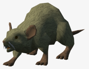 Punxsutawney Phil, HD Png Download, Transparent PNG
