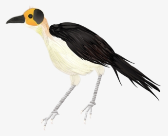 Picathartes Merged With Branch, HD Png Download, Transparent PNG
