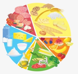 Clipart Healthy Food Plate, HD Png Download , Transparent Png Image -  PNGitem