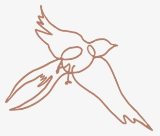 Kristin Cronic Bird Terracotta - Kristin Cronic Fine Art, HD Png Download, Transparent PNG