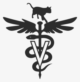 Veterinarian Symbol, HD Png Download, Transparent PNG